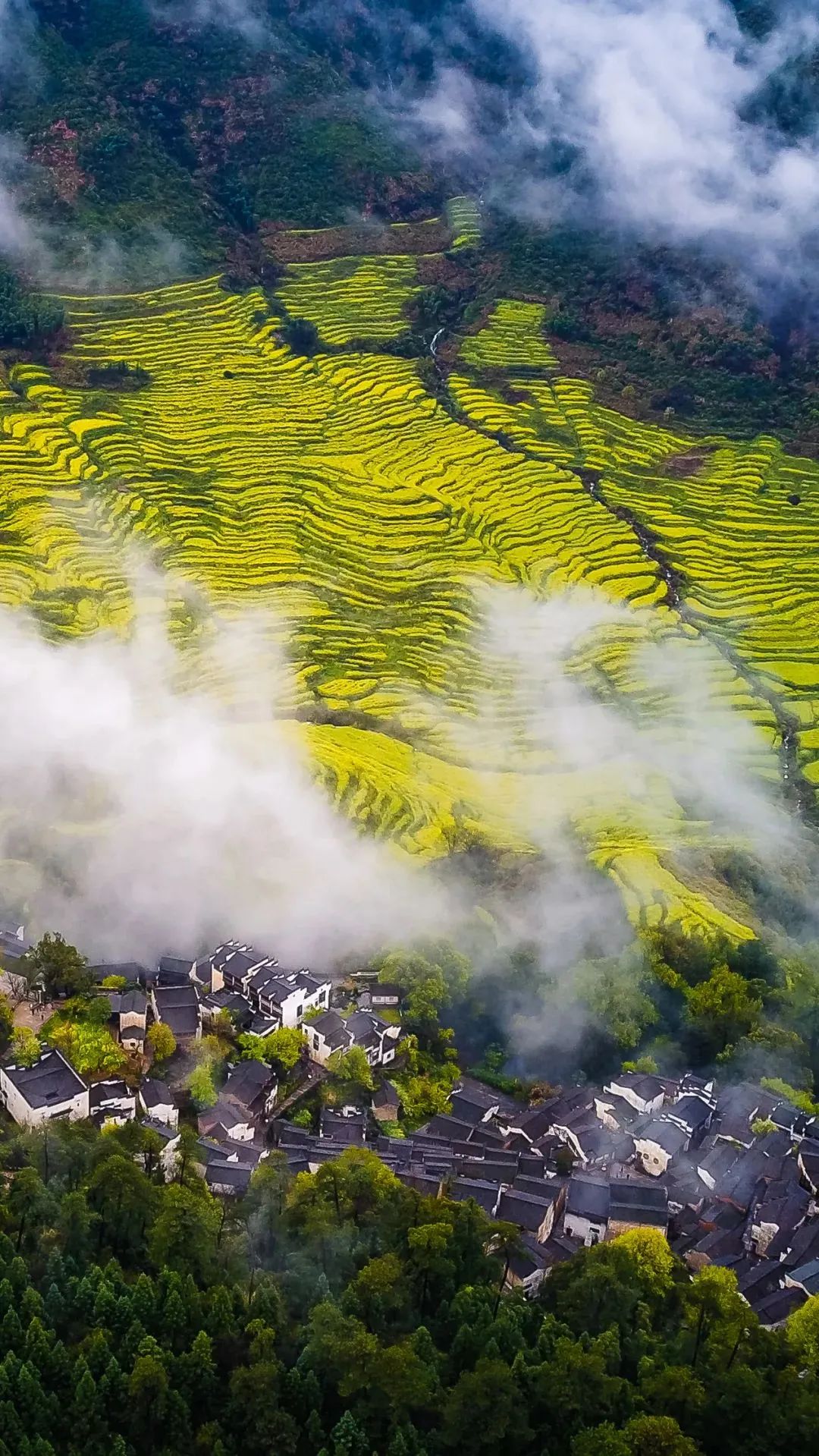 江西,红色沃土,青春足迹的难忘篇章